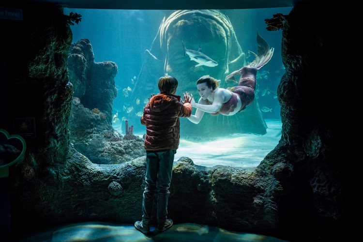 BUTTERFLY_EMBARGOED_UNTIL_4TH_0CTOBER_05